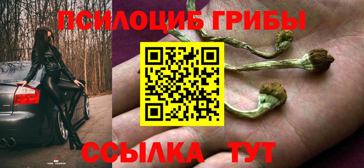 Усть-Джегута  Галлюциногенные грибы Psilocybine cubensis  Галлюциногенные грибы Psilocybe  наркотики  Вход с VPN 