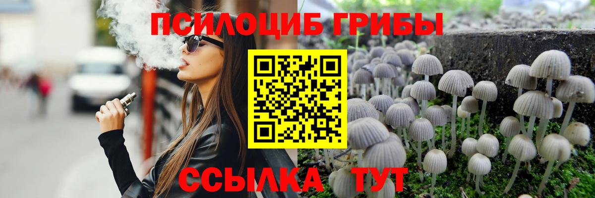 Галлюциногенные грибы прущие грибы Усть-Джегута